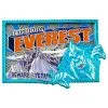 Disney Expedition Everest Pin - Beware Of The Yeti